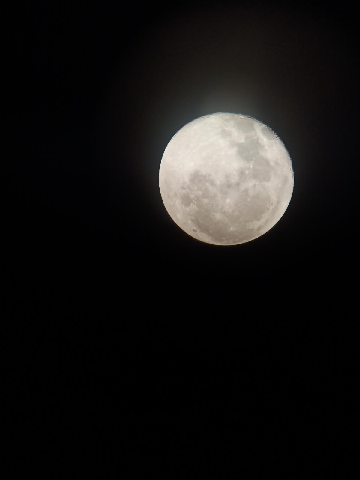 1590759996063.jpeg 1590759996063.jpeg