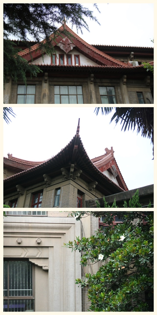 F5E866C8-B15B-4882-9E15-08AF78E8C8ED.jpeg F5E866C8-B15B-4882-9E15-08AF78E8C8ED.jpeg