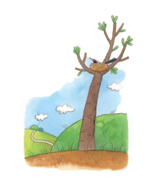 图片12.png 图片12.png