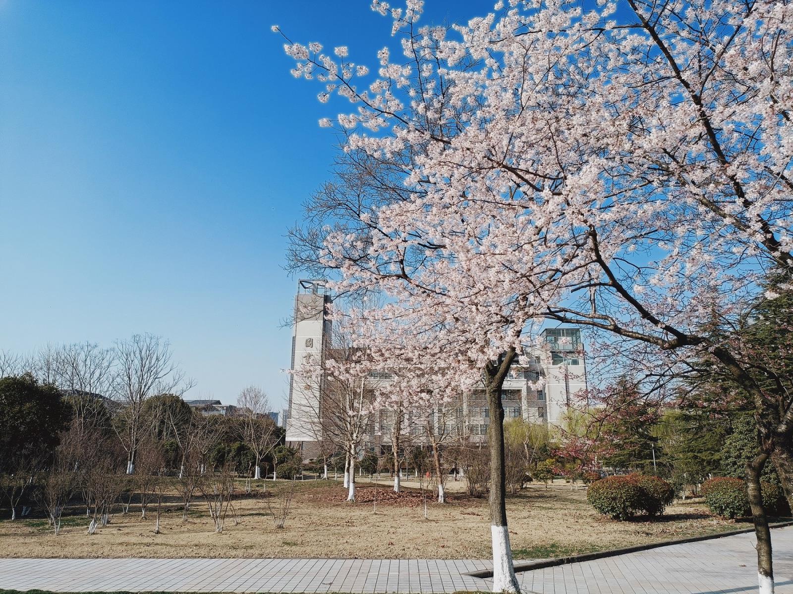 IMG20210224154413.jpg IMG20210224154413.jpg